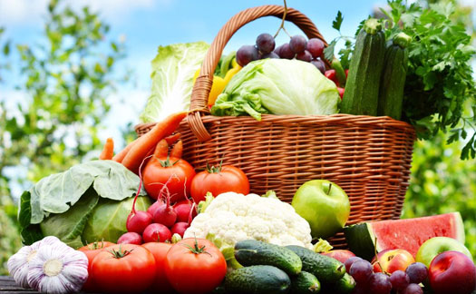 專業(yè)的質(zhì)量風(fēng)險(xiǎn)管理體系