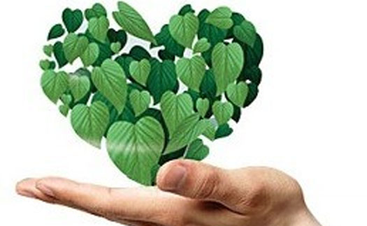 專業(yè)的售后服務(wù)